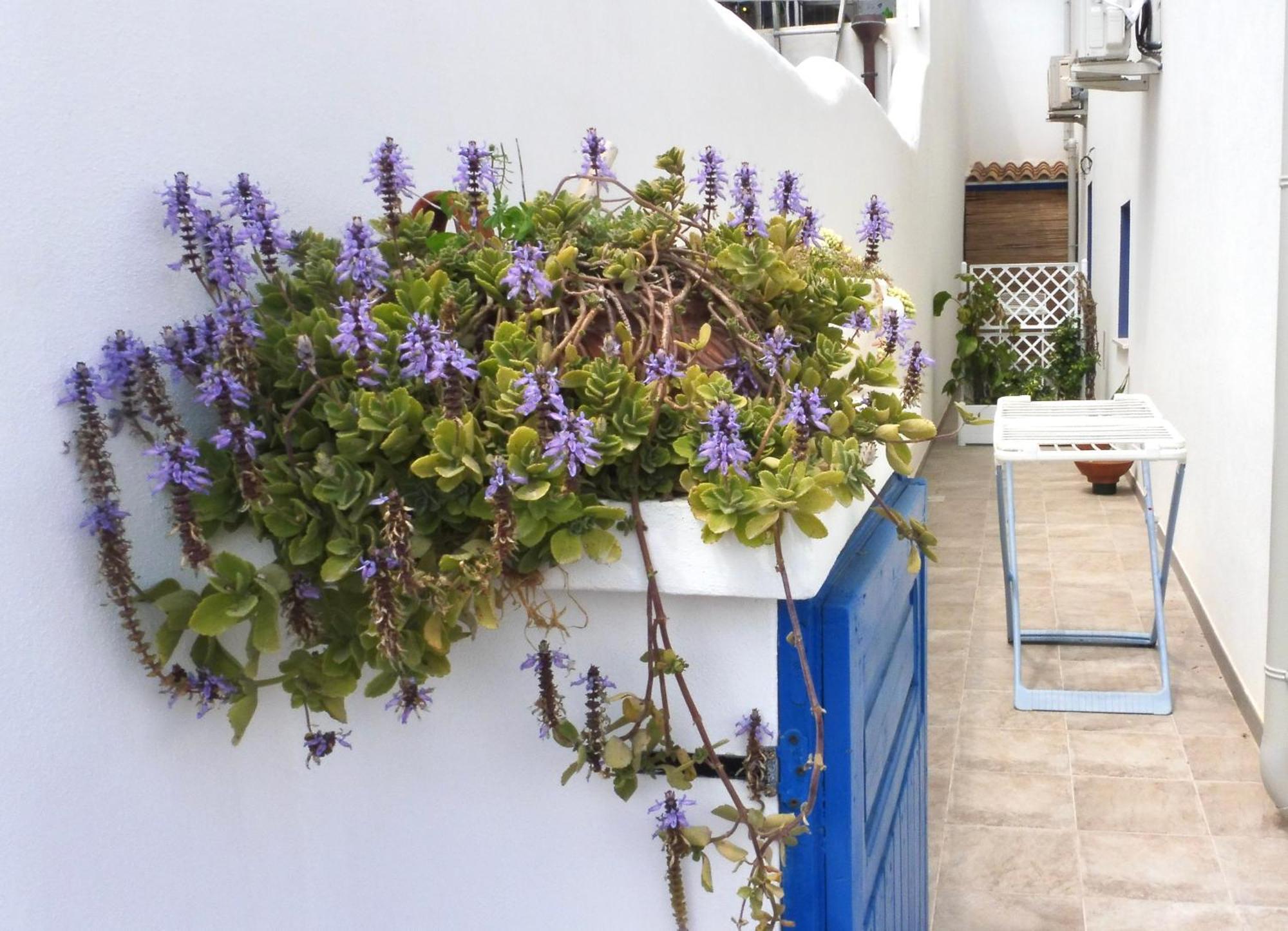 Sa Caletta Appartamenti Portoscuso Dış mekan fotoğraf